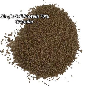 Protéine monocellulaire extraite de levure 70% 75% avec un teneur élevée en acides aminés au lieu de la farine de soja - Product Image 2