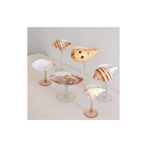 Verres SeaShell conçus avec une coquille de perle et une finition en résine pour les verres artistiques et l'affichage à la maison Vietnam - Product Image 6