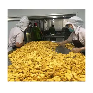 Beliebte hochwertige Trocken früchte-getrocknete Jackfrucht mit wettbewerbs fähigem Preis im Massen export - 100% Vietnam Quelle