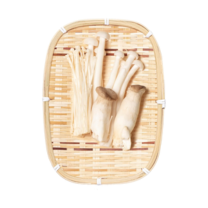 Bandejas para servir de bambú rectangulares de suministro vietnamita para comida, soporte para aperitivos, precio barato al por mayor - Product Image 1