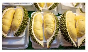 Delicioso Durian fresco congelado de Vietnam-Frutas a la venta Durian fresco de calidad de Vietnam - Product Image 6