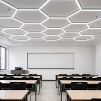 Panneau lumineux LED hexagonal en aluminium 6000K CRI 90 pour salle de classe et salle de conférence