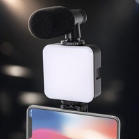 Kit de réalisation vidéo professionnel AY-49H avec trépied pieuvre, microphone, lumière d'appoint LED, ensemble Vlog pour téléphone, appareil photo, YouTube, TikTok Live