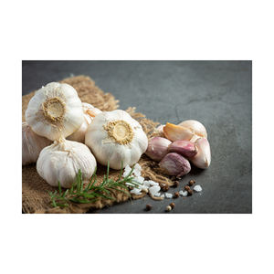 Suministro a granel de ajo fresco al por mayor precio barato calidad de granja Premium - Product Image 1