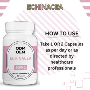 สารสกัดเอ็กไคนาเซีย 60 แคปซูล อาหารเสริมสมุนไพร แบรนด์ส่วนตัว รับผลิตแบบ OEM ODM สูตรเฉพาะ ผงสมุนไพรธรรมชาติ - Product Image 3