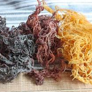 Musgo marino: la elección perfecta para una piel sana - Product Image 6