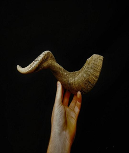 Real Dried <b>Water</b> Buffalo Horn Chew <b>Toys</b> Carved Natural Pet Food Treats for <b>Dogs</b> Nautical Daily Use Ram/Sheep Horn <b>Dog</b> Chews - Product Image 3