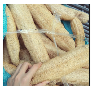 Éponges de luffa écologiques en gros, 100% naturelles et biodégradables, qualité d'exportation du Vietnam - Product Image 3