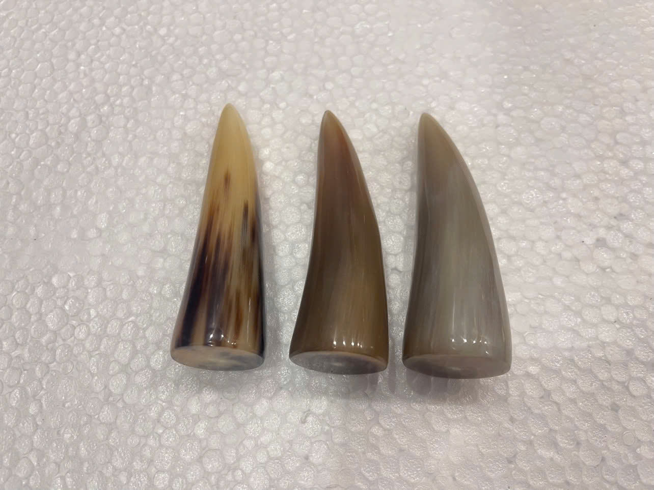 ธรรมชาติ