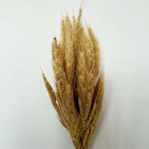 Flor Seca Jawan - Product Image 1