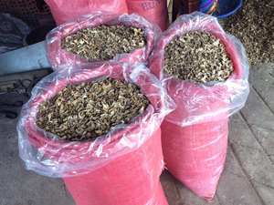 Rebanada de jengibre seco a granel de Vietnam: precios inmejorables para productos de alta calidad - Product Image 4