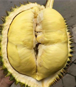 Durian Orgánico Fresco y Seco, Fruta Tropical Subtropical de Grado Vietnamita, Marca VIETDELTA, Tamaños Personalizables, Listo para Comer, 24 Unidades - Product Image 6