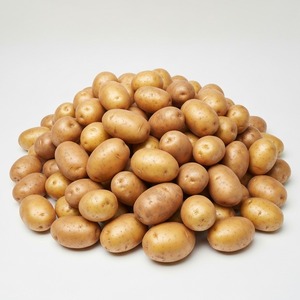 Papas frescas al por mayor Calidad de exportación Suministro a granel Adecuado para minoristas Procesadores de alimentos Catering y compradores de exportación global - Product Image 5