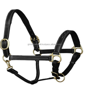 Cabellera de cuero con relleno de caballo, cosido de vaca, floral, lujo, hecho a medida, con hardware de latón, 2023 - Product Image 1