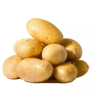 סיטונאי פרימיום חדש טרי באיכות גבוהה תפוחי אדמה טרי תפוחי אדמה מוצר ספק יצואן מכירה נמוך מחיר ירקות
