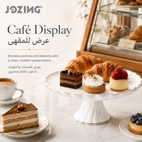 JOZING Assiette à gâteau ronde en céramique de 11,8 pouces, support de service, vaisselle de fête, stock disponible, prix de liquidation d'usine