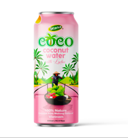 Fabrikant's Verfrissende 500ml Kokoswater Aloë Vera smaak Natuurlijke Smaak Laag in vet 100% Pure Elektrolyten Fruit Sap Puree Blikjes