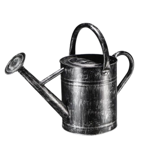 Bidon d'eau en métal galvanisé classique avec nouvelle forme personnalisée de conception pour arrosoir personnalisé de jardin à la maison - Product Image 2