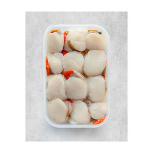 ราคาพิเศษ เนื้อหอยเชลล์ต้มคุณภาพสูง อบแห้งแบบ FD แช่แข็งแบบ BQF บรรจุภัณฑ์ตามสั่ง บริการ OEM/ODM สำหรับธุรกิจขนาดใหญ่ - Product Image 6