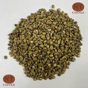 Granos Verdes de Robusta S18 de Calidad de Exportación, Origen Vietnam, Suministro Estable, OEM/ODM, Listos para Enviar, Servicio de Marca Privada - Product Image 1