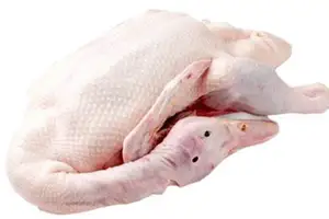 IQF – tranche de canard entier désossé/sac de canard de pékin entier glacé, emballage OEM biologique