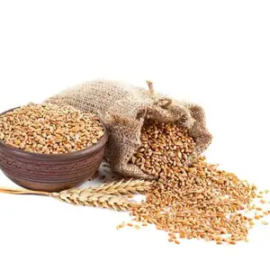 High Quality 2024 Cheap Wheat Grain/ Soft Milling Wheat Grain from Ukraine, Wheat Grains for Human& Animal Consumption