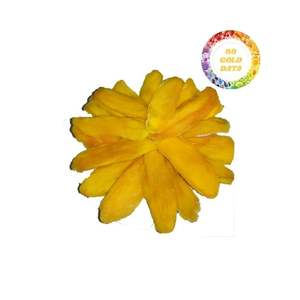 มะม่วงอบแห้งแบบนิ่มของเวียดนามขนมผลไม้เขตร้อนความหวานจากธรรมชาติที่อุดมไปด้วยตัวเลือกที่เหมาะสำหรับการค้าปลีกและสินค้าจำนวนมาก - Product Image 6