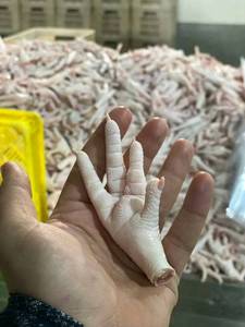 Patas de Pollo Halal Congeladas Frescas a la Venta, Precios al por Mayor, Alta Calidad - Product Image 2
