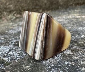 Anillo Decorativo de Cuerno Natural con Acabado Pulido, Anillo de Cuerno de Búfalo Ecológico Hecho a Mano, el Más Demandado por f s i - Product Image 1