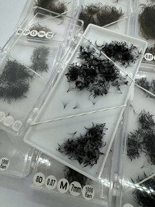 Extensions de cils volume pré-faits 6D M Curl 0.07mm, éventails faits main, base pointue, en PBT coréen, vente en gros OEM - Product Image 3