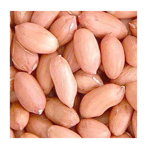 เมล็ดถั่วลิสงแบบลวกเก่า - Product Image 3