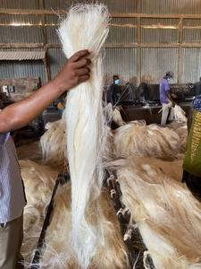 Matière première de fibre de sisal et sisal en vrac pour la fibre d'exportation avec la particularité de la fibre de sisal séchée au soleil aux prix de gros - Product Image 6