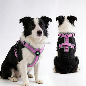 Arnés Acolchado <span class=keywords><strong>para</strong></span> <span class=keywords><strong>Perros</strong></span> con Forma de Y al por Mayor, Fabricante, Personalización de Logotipo y Colores, Arnés Ajustable <span class=keywords><strong>para</strong></span> Mascotas - Product Image 3