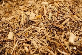 Fardos cuadrados de ensilaje de maíz deshidratado, piensos secos para cerdos de ensilaje, ovejas, caballos, ganado, Pakistán, aditivo alimentario empaquetado - Product Image 3