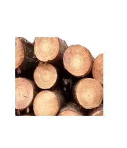 Số Lượng Lớn Bilinga Gỗ Nhật Bản Để Bán Ở Mức Giá Rẻ Hoàn Hảo Cho Các Nhà Xây Dựng Và Cải Thiện Nhà Dự Án - Product Image 5