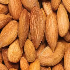 Noix d'amandes cuites au four Disponible en vrac toutes les tailles/Noix d'amandes fraîches à vendre à faible coût - Product Image 1
