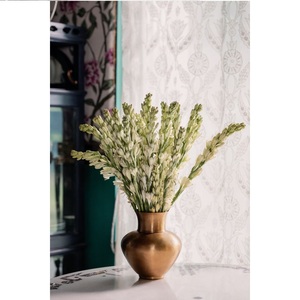 Florero de planta de oro y florero de diseño mejor para la decoración del hogar personalizado hecho a mano mejor decoración interior y diseño hecho a mano - Product Image 1