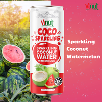Eau de coco pétillante VINUT, réfrigérée, 320 ml, HALAL KOSHER, fabricant OEM ODM, étiquette privée, échantillon gratuit, potable, 24 mois