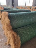 Fourniture ponctuelle du fabricant Protection des pentes de rivière Couverture d'herbe Graines Fibre végétale Géotextiles en soie de noix de coco Produits de terrassement
