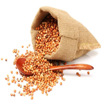 Semillas de Sorgo Blanco Milo, Granos de Sorgo, Precio del Sorgo por Tonelada para la Venta