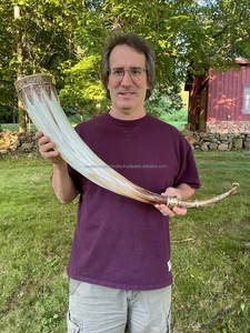 Stein raffiné fabriqué à la main pour les amateurs de bière et d'hydromel Décoration de corne à boire polie - Product Image 2