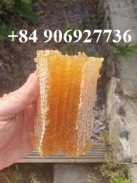 ¡Venta caliente 2025! Pure Raw Honeycomb 100% Natural & Sin procesar/Suministro a granel disponible para exportación desde Vietnam / Lily + 84 906927736 - Product Image 2