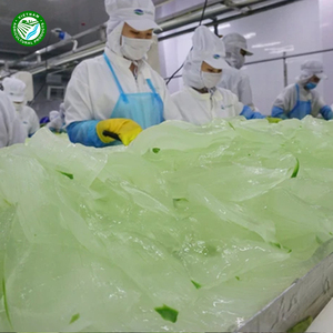 เจลว่านหางจระเข้แช่แข็งยอดนิยมพร้อมส่งมาตรฐานการส่งออกสำหรับผลิตภัณฑ์ทางการเกษตรสำหรับเวียดนาม - Product Image 2