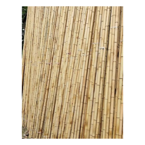 Poteau en bambou droit Poteau en bambou gros et solide Matière première pour le jardinage et la décoration du Vietnam de haute qualité - Product Image 4