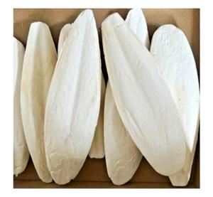 Cuttlefish Bone Wholesale Vietnam Natural Dried Cuttlefish Bone Supplier Pet <b>Bird</b> Food Clean Calcium Export Factory Bulk <b>Supply</b> - Product Image 1
