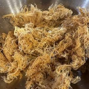 FUENTE PURA SECA NATURAL AL POR MAYOR DE MUSGO IRLANDÉS - Product Image 2