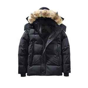 New Arrival Women's Bomber <b>Jacket</b> Puffer <b>Jacket</b> for Men 100% Nylon Cotton Bubble Windproof Puffer <b>Jackets</b> - Product Image 3