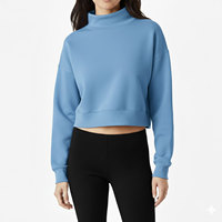 Nueva Llegada: Sudadera Personalizada para Mujer, Cuello Alto, Estilo Boxy, Delta Lambda Phi, Tejido de Poliéster/Algodón Grueso, Estampado Frontal, para Invierno