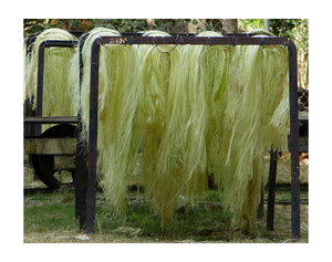 Fibra de Sisal Blanqueada 100% Natural de la Mejor Calidad / Fibra de Sisal Teñida / Fibra de Sisal Natural Cruda / Fibra de Sisal - Product Image 1