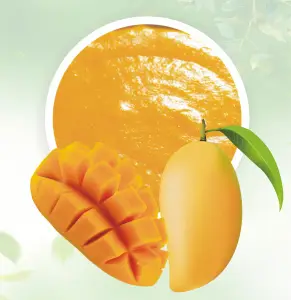 Best Quality Mango Puree Mango Pulp Available Bulk Quantity 210 Kg Aseptic Bag In Drum Without Additives 100% Premium Quality